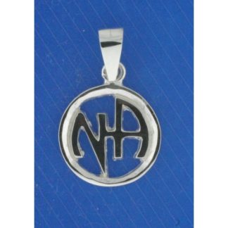 Silver NA Symbol inside circle
